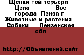 Щенки той терьера › Цена ­ 10 000 - Все города, Пенза г. Животные и растения » Собаки   . Пензенская обл.